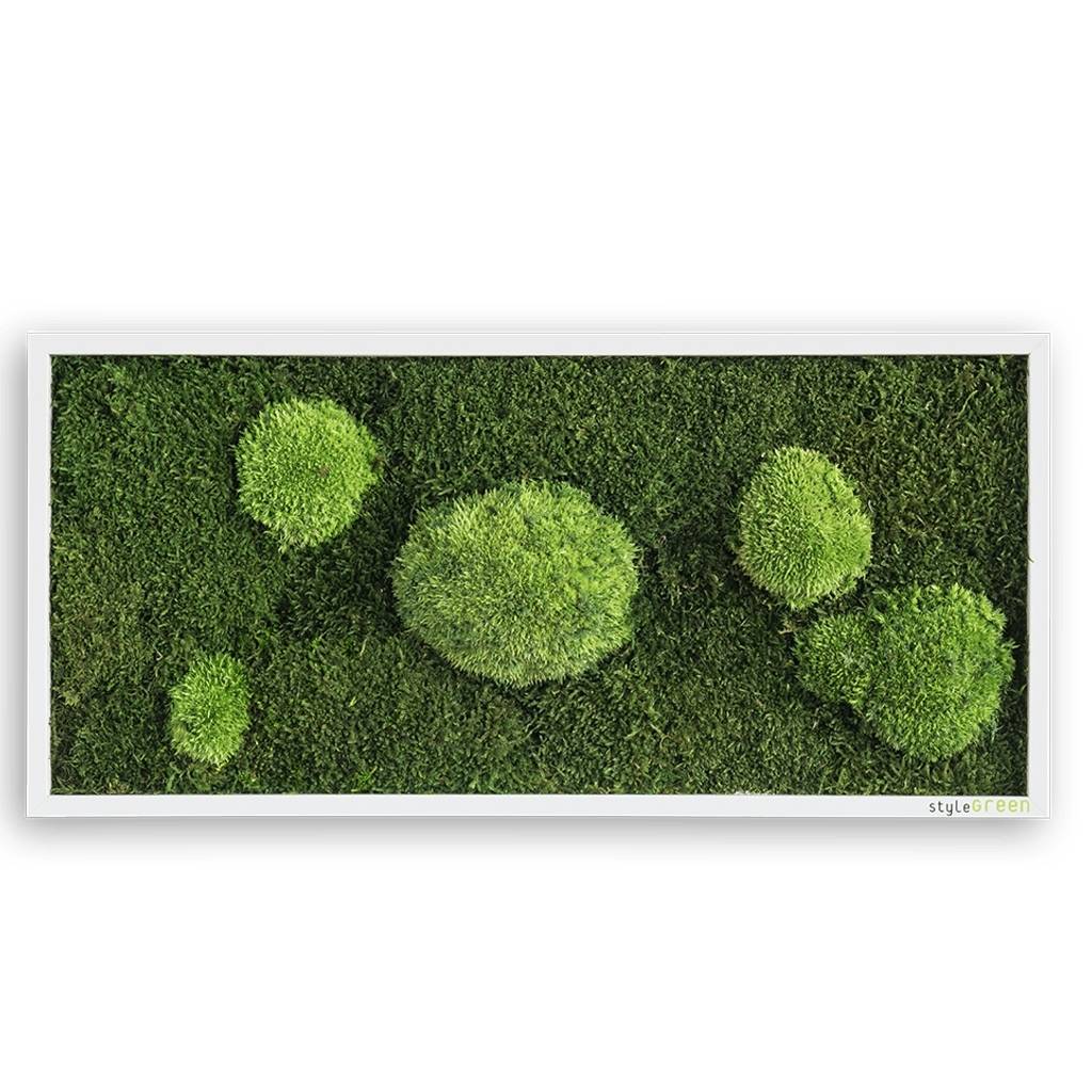 Moosbild Wanddekoration styleGREEN Rechteckig, Grün, 57 x 27 cm