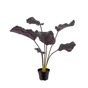 Kunstpflanze-Calathea-burgundy-01.jpg