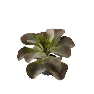 Kunstpflanze-Kalanchoe.jpg