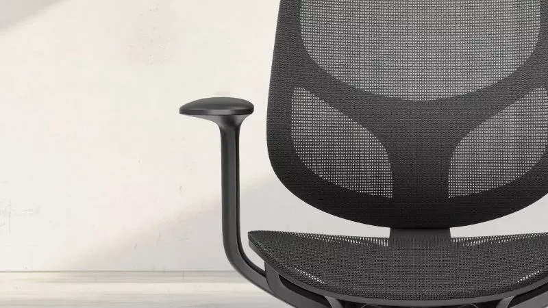 Meshrücken des Drehstuhl EcoChair 2