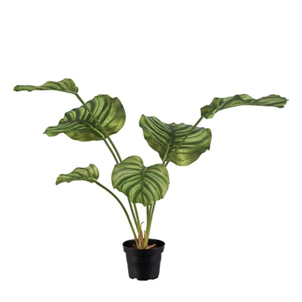 Kunstpflanze-Calathea-gruen-01.jpg