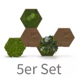 Akustik Wandabsorber aus Kork und Moos styleGREEN - 5er Set