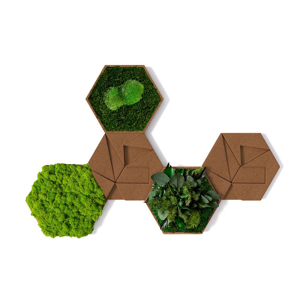 Akustik Wandabsorber aus Kork & Moos 5er Set – StyleGREEN Schallabsorber für Büro & Raumakustik Grün | selbstklebend | styleGREEN | Moos/Kork