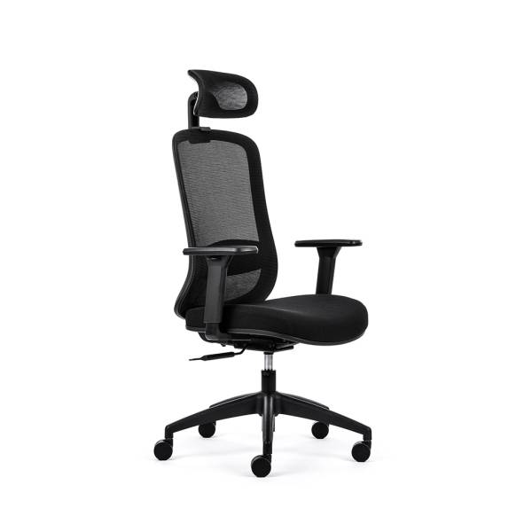 MP000027-Inwerk-EcoChair-3-Ergonomischer-Buerostuhl-Schwarz-