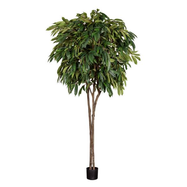 Kunstpflanze-Longifolia-01.jpg