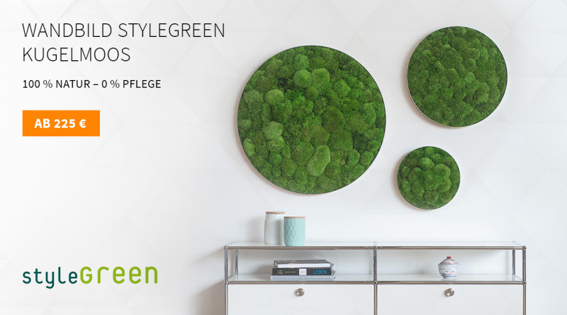 Wandabsorber Stylegreen Kugelmoss rund