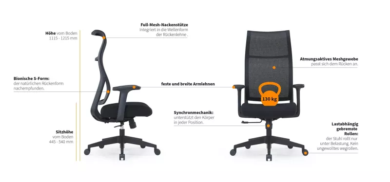 Funktionen des Ikaro 2
