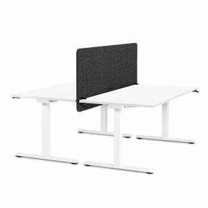 BM096418_Doppelarbeitsplatz Masterlift® Flex mit gratis Tisc