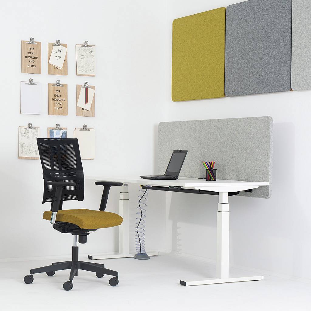 Akustik Wandabsorber Bold