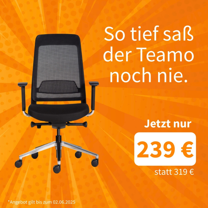 Inwerk Teamo zum Tiefstpreis von 239 EUR statt 319 EUR - nur bis zum 02.06.2025