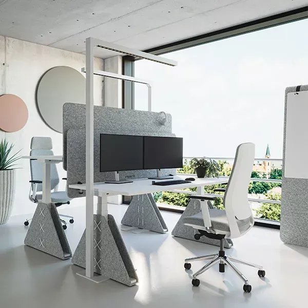 Ergonomischer Doppelarbeitsplatz mit höhenverstellbarem Schreibtisch Masterlift Flex