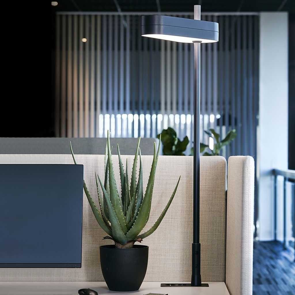 Elegante Tischleuchte Moderne Arbeitsplatzleuchte auf einem Schreibtisch. Lampe mit schwarzem Gestell. Am Büroarbeitsplatz steht eine Pflanze.