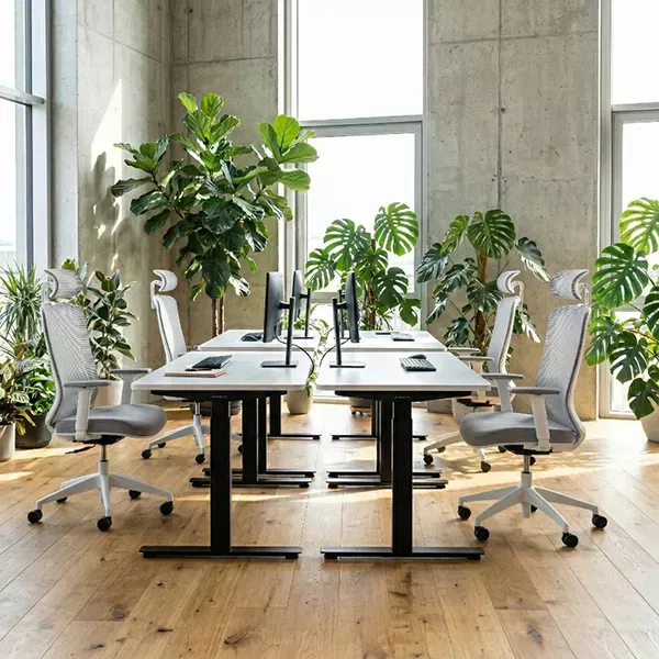 EcoChair an einer Tischgruppe aus vier höhenverstellbaren Schreibtischen