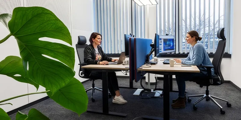 Helles Büro mit Doppelarbeitsplatz bestehend aus zwei höhenverstellbaren Schreibtischen und Tischtrennwänden