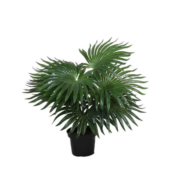 Kunstpflanze-Palm-01.jpg