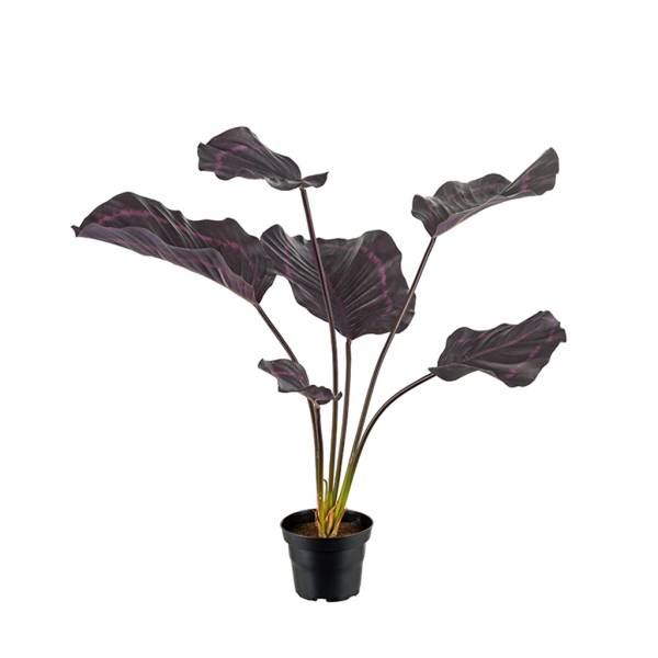 Kunstpflanze-Calathea-burgundy-01.jpg