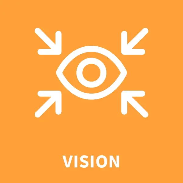 media/image/masterbox-vuca-inspiration-icon-vision.webp