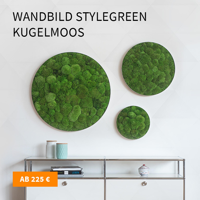 Wandbild rund styleGREEN Kugelmoos