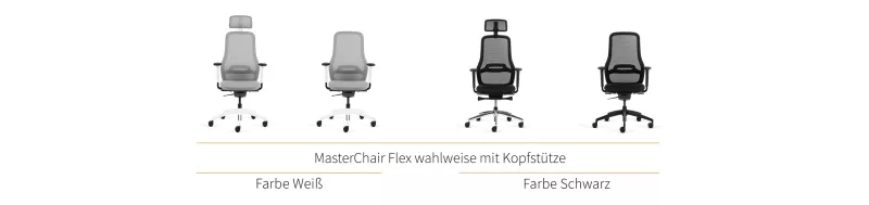 Varianten des MasterChair Flex