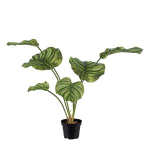 Kunstpflanze-Calathea-gruen-01.jpg