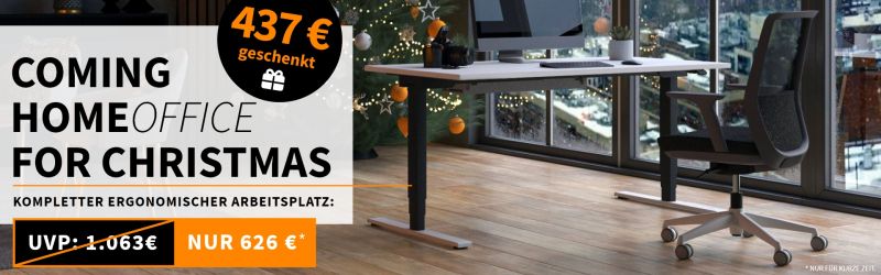 Inwerk Christmas Angebot Arbeitsplatz masterlift 2 