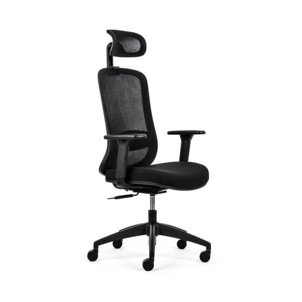 BM096575-Buerodrehstuhl-EcoChair-3-schwarz-01.jpg