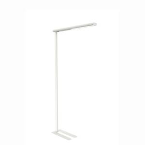 BM096433_LED-Standleuchte MAULjet_weiß_01.jpg