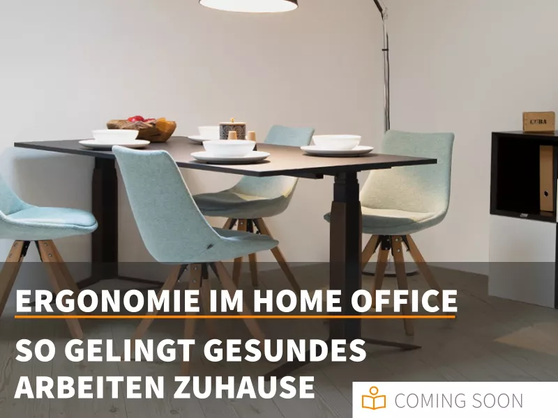 media/image/Inwerk-Rategeber-Ergonomie-im-Home-Office-Teaser.webp