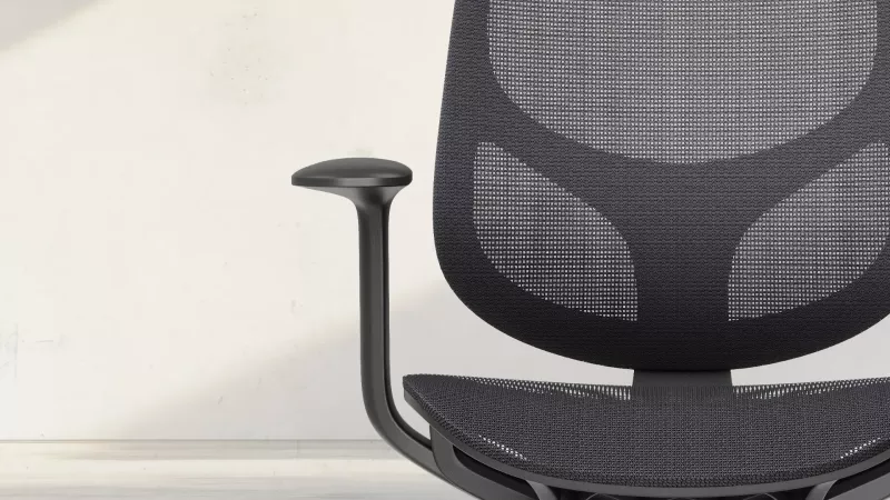 Meshrücken des Drehstuhl EcoChair 2