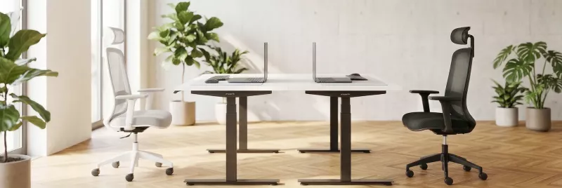 EcoChair 3 von Inwerk am höhenverstellbarem Schreibtisch