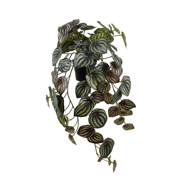 Kunstpflanze-Peperomia-01.jpg