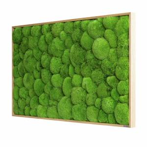 moosbild-kugelmoos-rechteckig-mit-eiche-rahmen-stylegreen-01