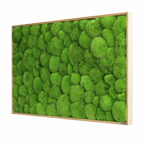 moosbild-kugelmoos-rechteckig-mit-eiche-rahmen-stylegreen-01