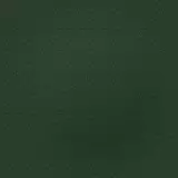 Akustik Wandpaneel Fleur - grün (Moss)