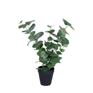 Kunstpflanze-Eukalyptus-01.jpg