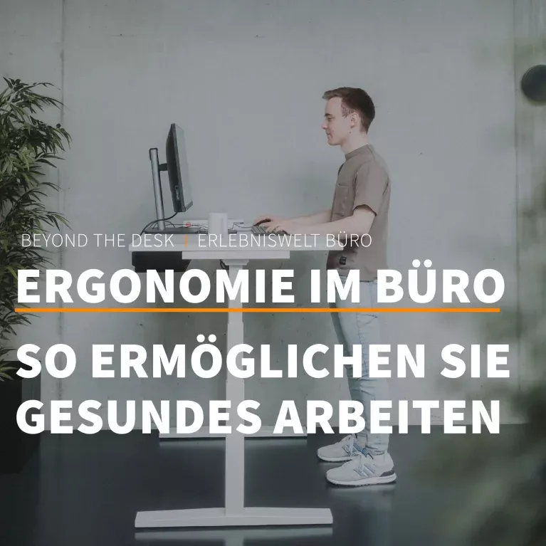 media/image/Inwerk-Magazin-Ergonomie-im-Buero-Mobile-Portrait.webp