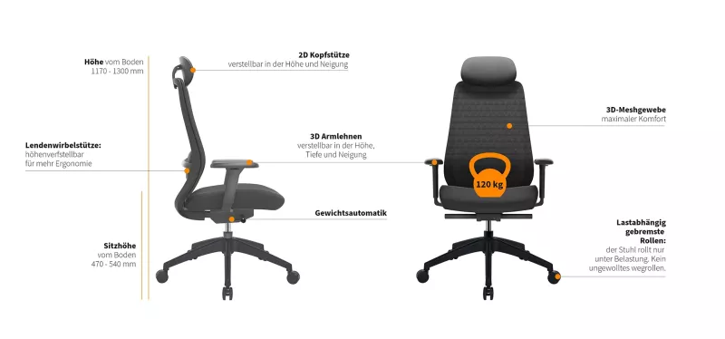 Die Funktionen des Dynamio 2