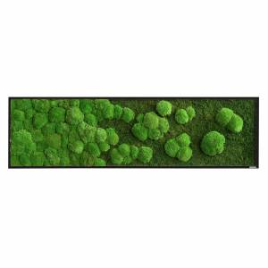 moosbild-wald-und-kugelmoos-verlauf-rechteckig-stylegreen-01