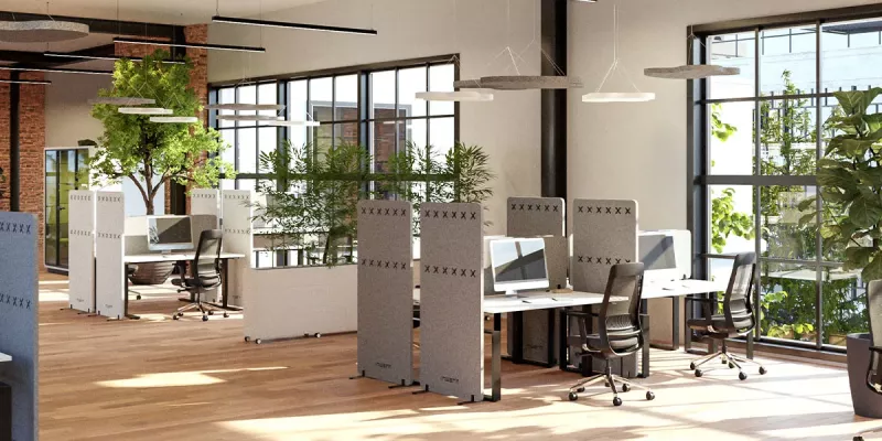 Open Space Büro mit vielen Pflanzen und heller Raumstruktur