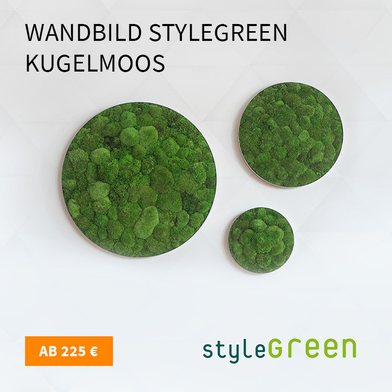 Wandabsorber Stylegreen Kugelmoss rund