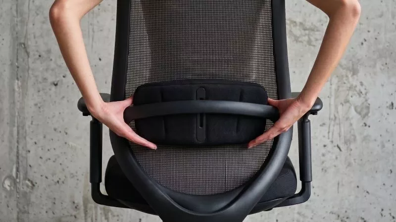 Ergonomischer Lendenwirbelschutz am Netzrücken des Dynamio 3D