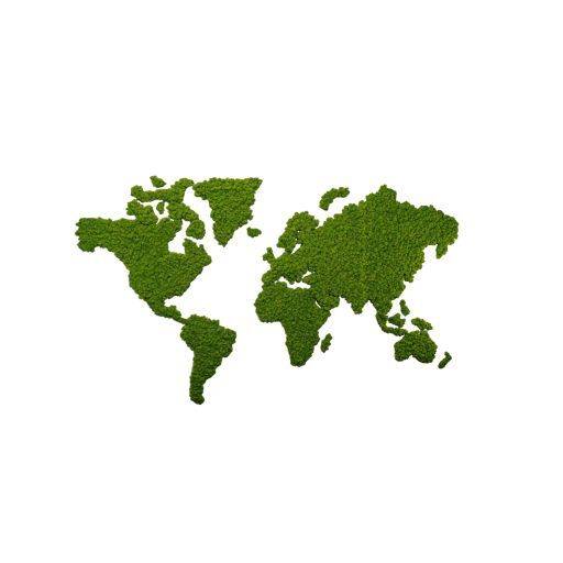 Weltkarte Akustik-Wandabsorber Islandmoos styleGREEN | Höhe 160 cm | Breite 255 cm | styleGREEN | Grün | Moos/Kork