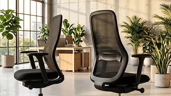 MasterChairt Premium von vorne und von hinten im Büro mit vielen Pflanzen