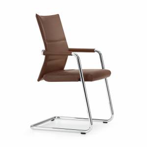 BM56746/premium-freischwinger-girsberger-diagon-executive-01