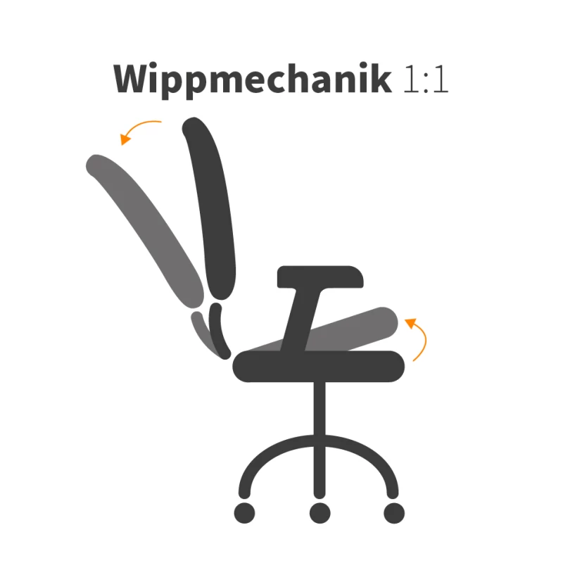 Wippmechanik