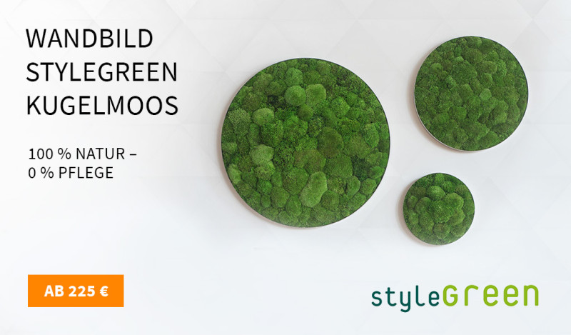 Wandabsorber Stylegreen Kugelmoss rund