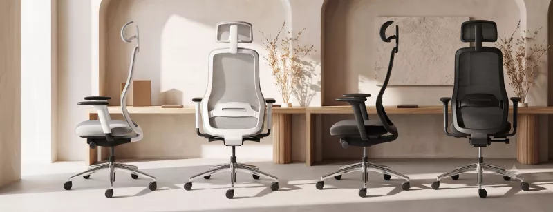 MasterChair Premium von Inwerk