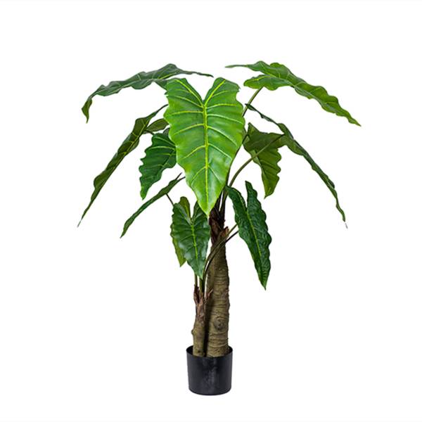 Kunstpflanze-Alocasia-1200-01.jpg