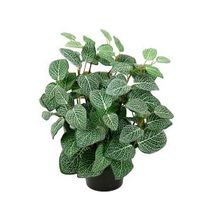 Kunstpflanze-Fittonia-01.jpg